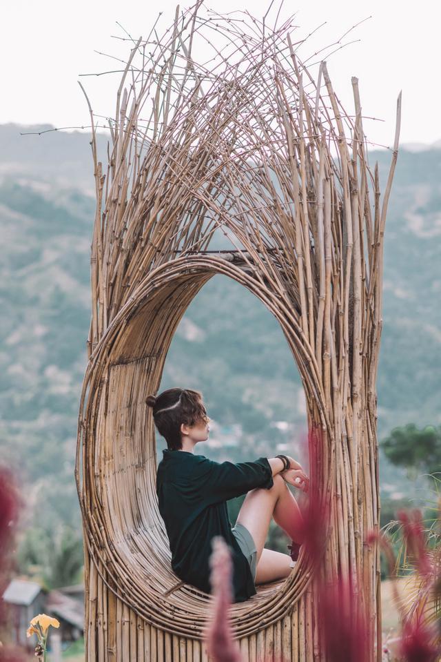 宿雾这个网红景点，本是美丽花海，却因造型独特的佛手走红