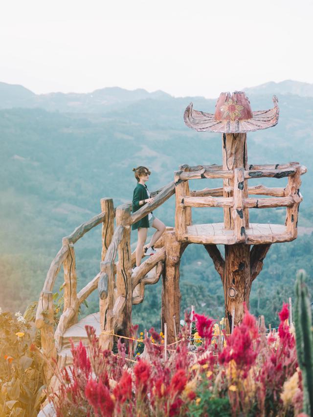 宿雾这个网红景点，本是美丽花海，却因造型独特的佛手走红