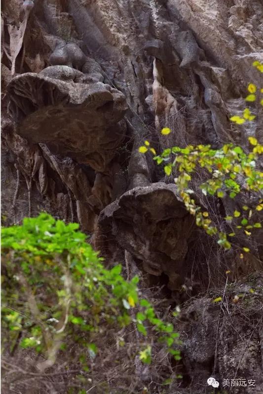 我为山水立传：你所不知道的武陵峡