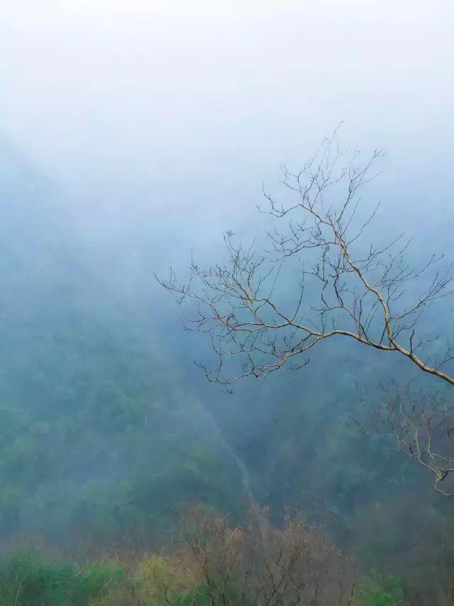 世界那么大，我只想去武陵峡寻找最安静的自己