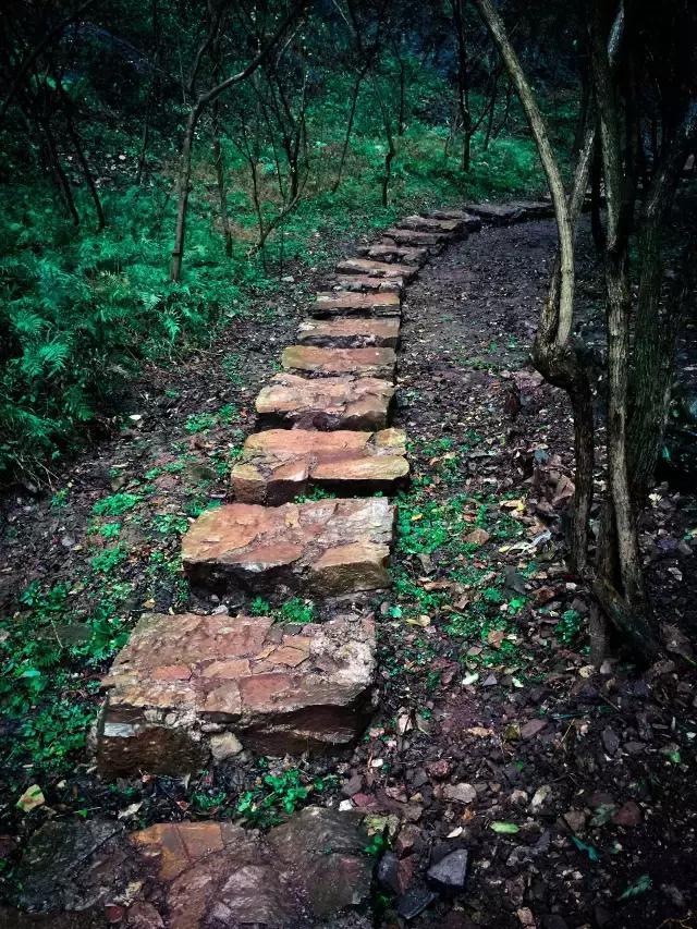 世界那么大，我只想去武陵峡寻找最安静的自己