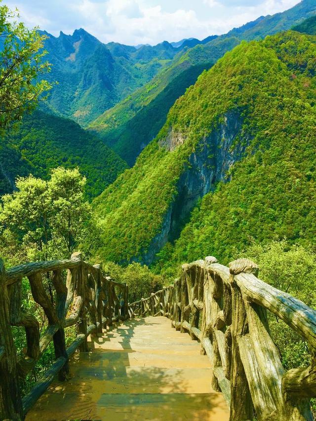 五一小长假好去处，竹山武陵峡、大九湖、神农顶环线游