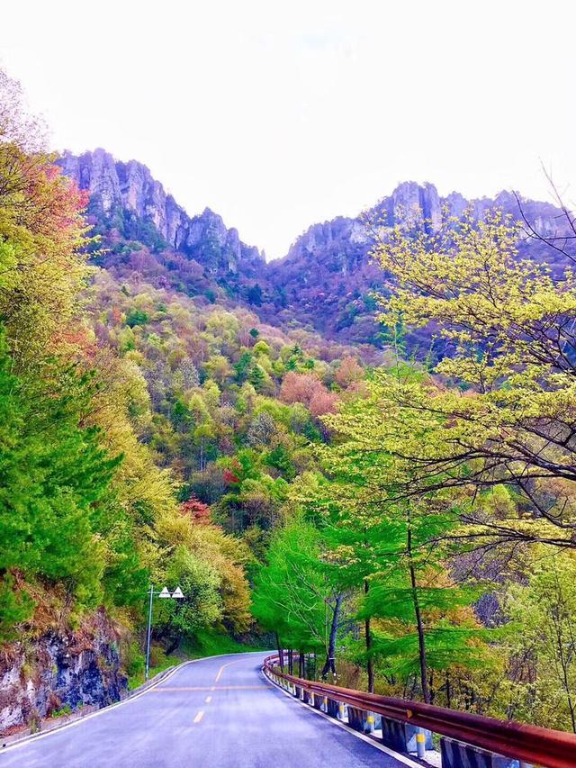 五一小长假好去处，竹山武陵峡、大九湖、神农顶环线游