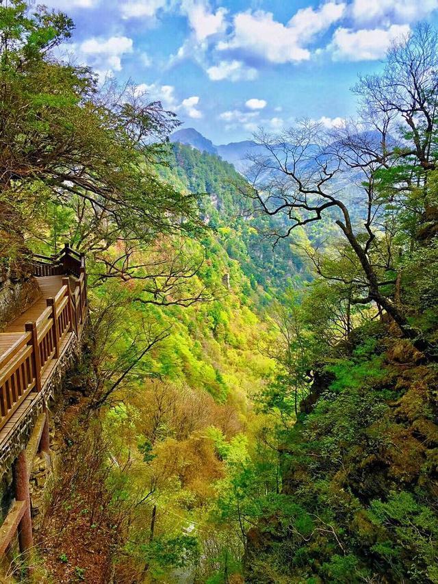 五一小长假好去处，竹山武陵峡、大九湖、神农顶环线游