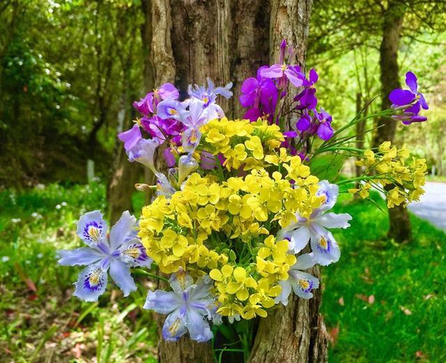 五一小长假好去处，竹山武陵峡、大九湖、神农顶环线游