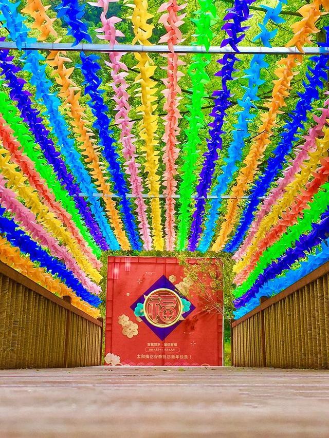 五一小长假好去处，竹山武陵峡、大九湖、神农顶环线游