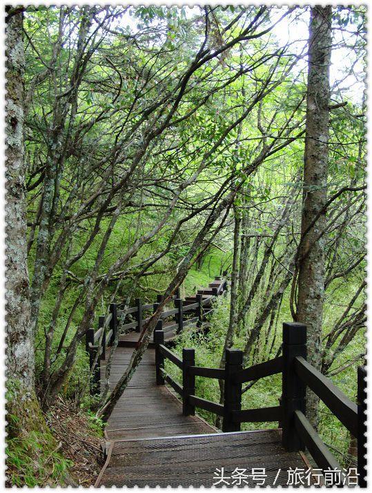 神龙架成为中国的世界遗产啦