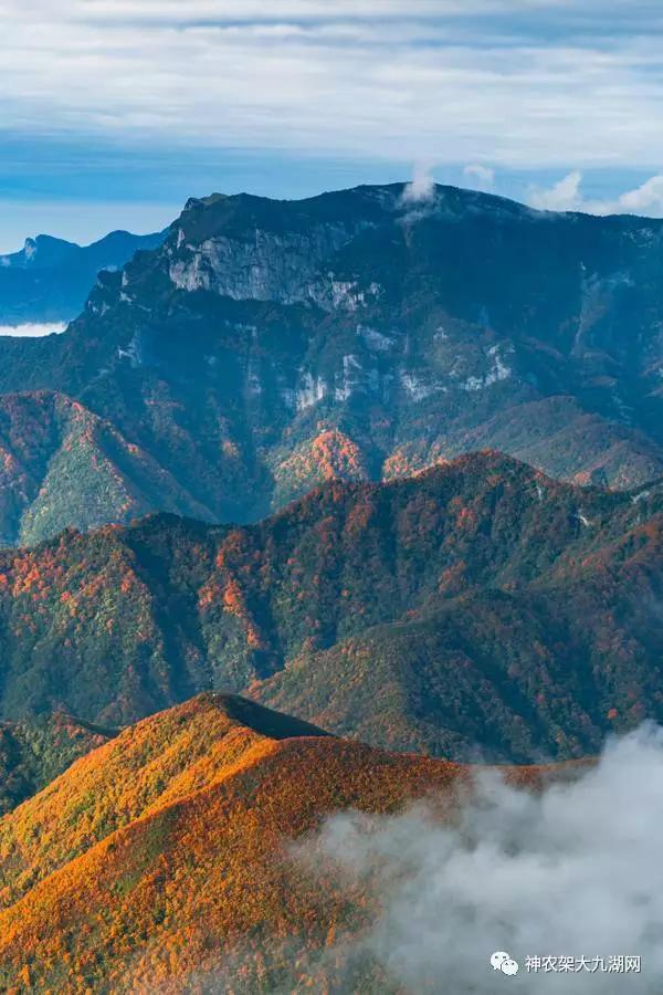 醉了，醉了！神龙架，您真的会撩人呀！（美图美文欣赏）