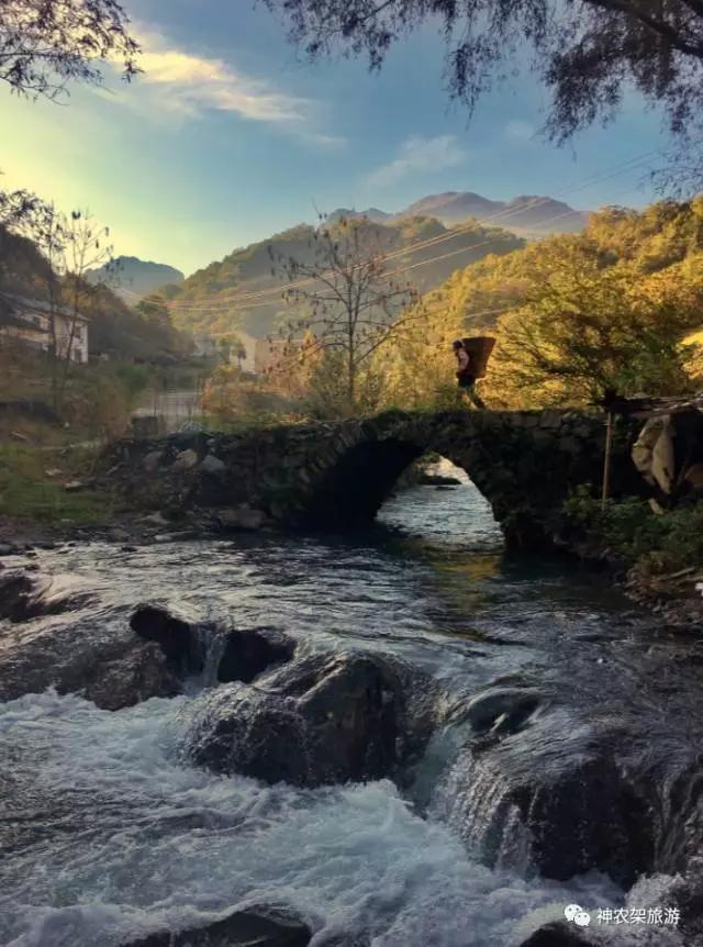 醉了，醉了！神龙架，您真的会撩人呀！（美图美文欣赏）
