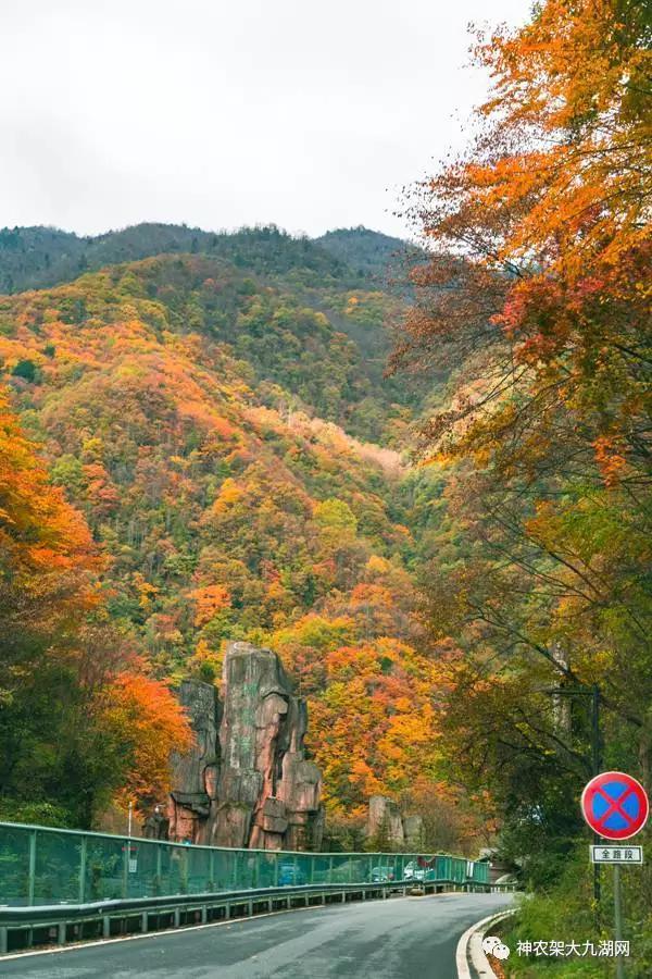 醉了，醉了！神龙架，您真的会撩人呀！（美图美文欣赏）