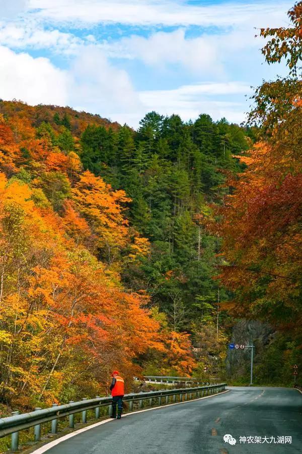 醉了，醉了！神龙架，您真的会撩人呀！（美图美文欣赏）