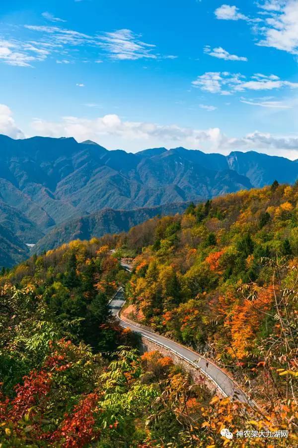 醉了，醉了！神龙架，您真的会撩人呀！（美图美文欣赏）