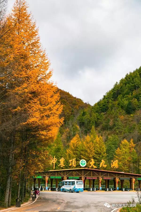 醉了，醉了！神龙架，您真的会撩人呀！（美图美文欣赏）