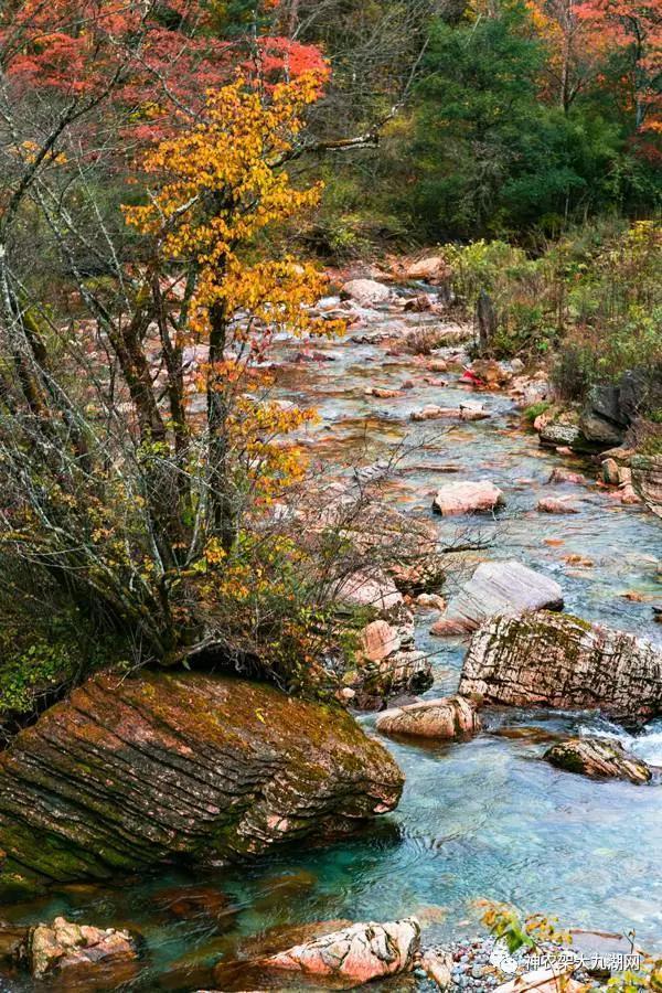 醉了，醉了！神龙架，您真的会撩人呀！（美图美文欣赏）