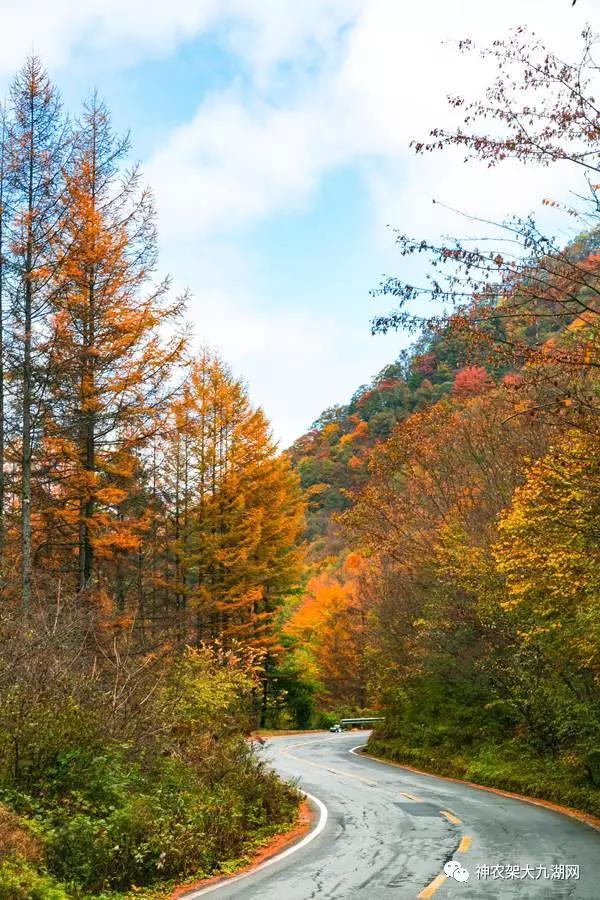 醉了，醉了！神龙架，您真的会撩人呀！（美图美文欣赏）