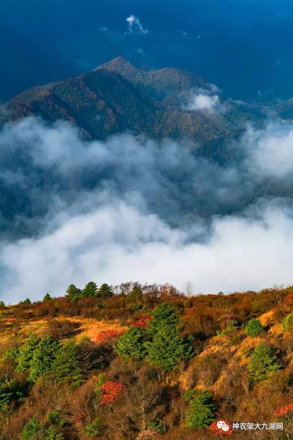醉了，醉了！神龙架，您真的会撩人呀！（美图美文欣赏）
