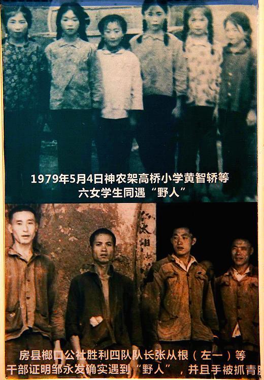 神农架到底有没有野人？40多年来，有谁真正见到了野人？