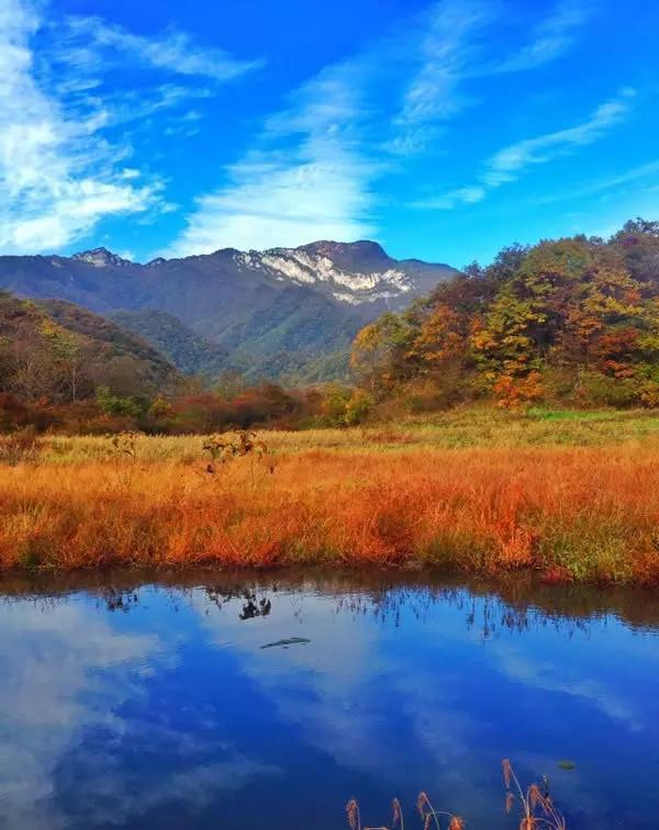 神农架大九湖，入了时光画卷，沉醉不知归处