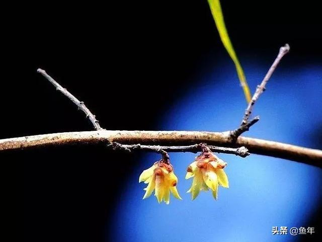 竹山旅游攻略 |身为十堰人，你可能不知道她有这么美