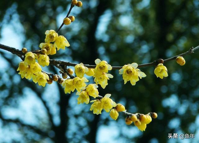 竹山旅游攻略 |身为十堰人，你可能不知道她有这么美