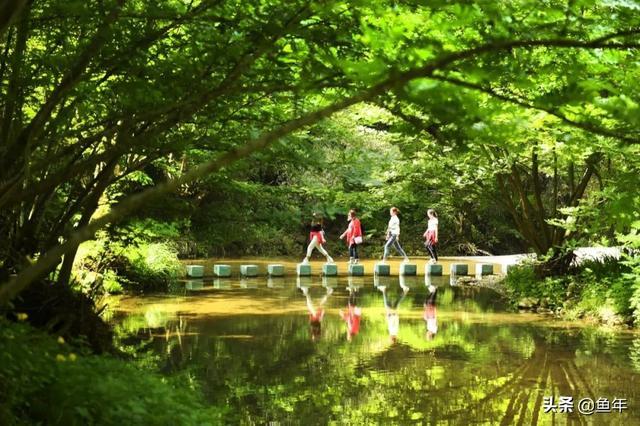 竹山旅游攻略 |身为十堰人，你可能不知道她有这么美