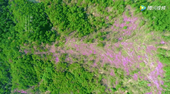 国内罕见的中华第一高瀑，刚开放就“爆”了！