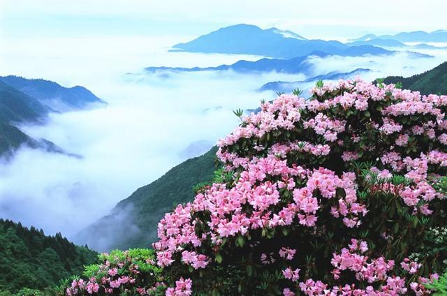 国内罕见的中华第一高瀑，刚开放就“爆”了！