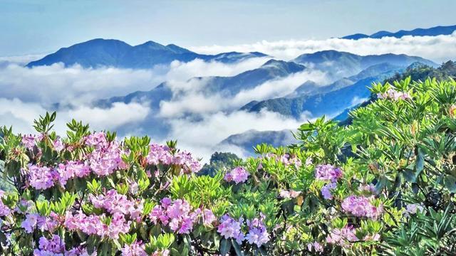 国内罕见的中华第一高瀑，刚开放就“爆”了！