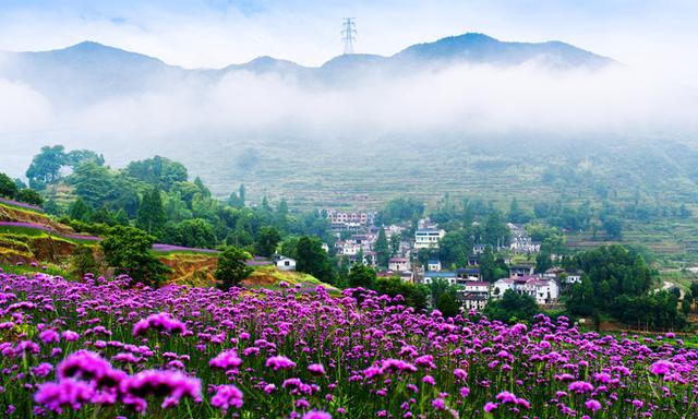 国内罕见的中华第一高瀑，刚开放就“爆”了！