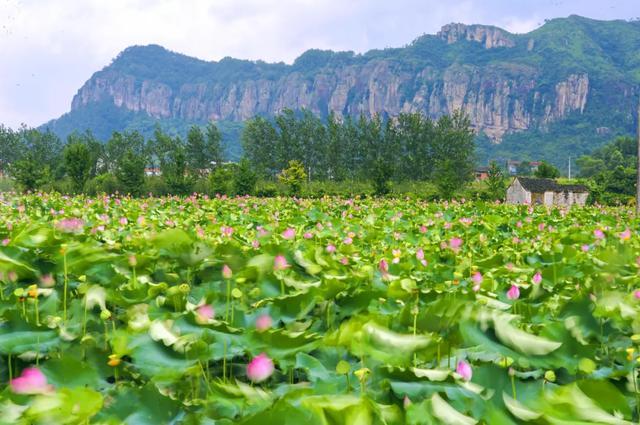 国内罕见的中华第一高瀑，刚开放就“爆”了！