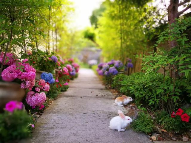 国内罕见的中华第一高瀑，刚开放就“爆”了！