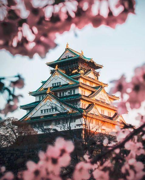 一位外国小伙被中国美景深深吸引，拍出了中华大地最美神韵