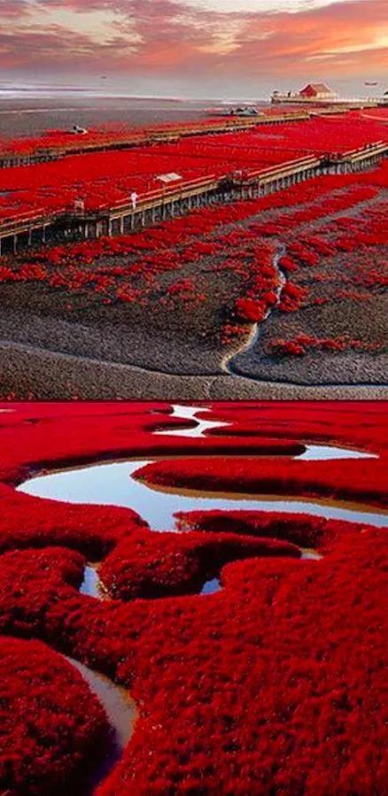 此景只应天上有，但留绝色在人间！