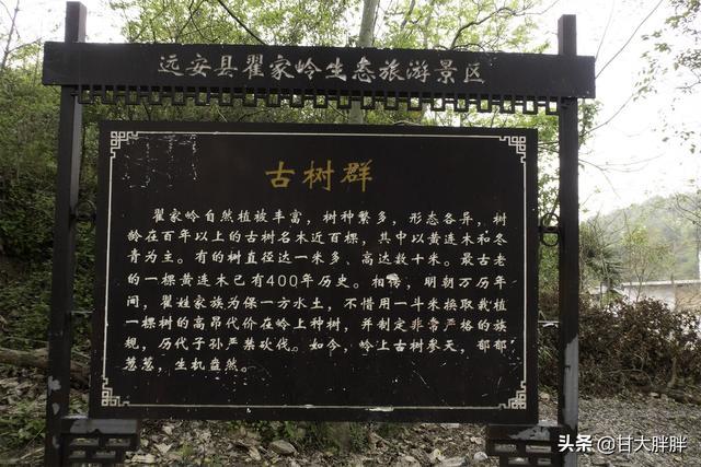 探访湖北最美古村，距今已有四百多年