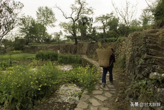 探访湖北最美古村，距今已有四百多年