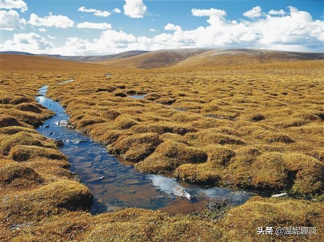 黄河源头终于被找到！只有碗口的大小，为什么不能让任何人靠近？