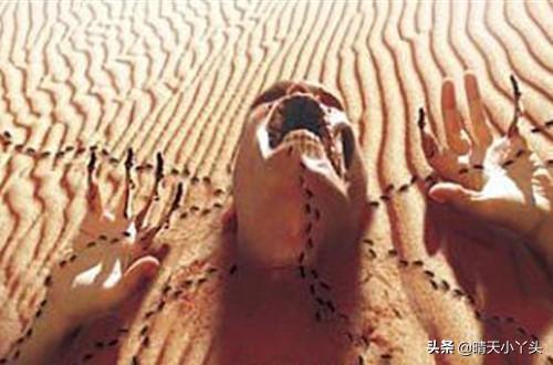 世界上最恐怖的七大景区，你敢不敢看！