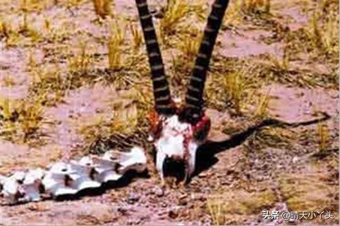 世界上最恐怖的七大景区，你敢不敢看！