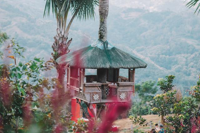 宿雾这个网红景点，本是美丽花海，却因造型独特的佛手走红