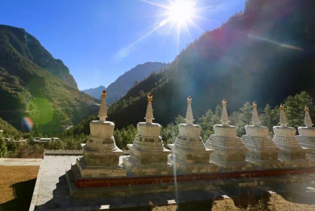 云南3000年菩提树，长出一只“佛手”，游客：佛祖保佑