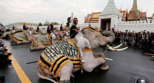 在泰国旅行遇到国王出行，当地人立马跪下，中国人：咱该咋整？