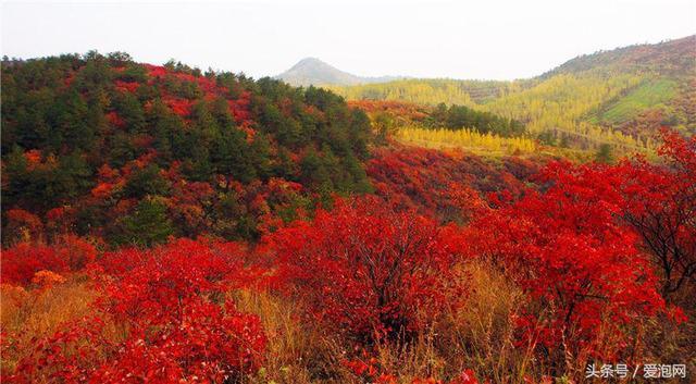 湖北十堰郧县虎啸滩风景区，被誉为无山不奇、无水不秀的景区