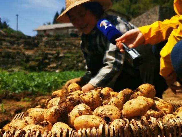 都市频道“湖北恩施七天游”发车啦！是什么让全国人民爱上恩施？