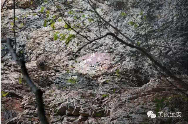 我为山水立传：你所不知道的武陵峡