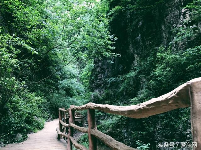 到湖北宜昌旅游必去的五大景区之一：远安武陵峡口生态旅游度假区