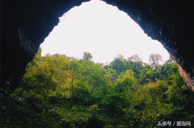 到湖北宜昌旅游必去的五大景区之一：远安武陵峡口生态旅游度假区