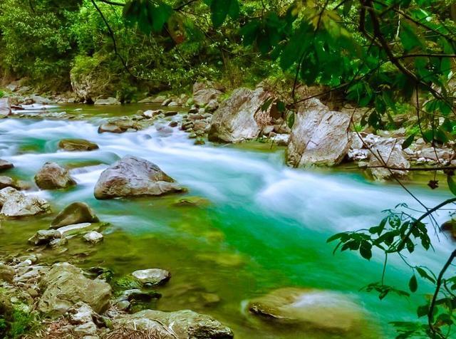 五一小长假好去处，竹山武陵峡、大九湖、神农顶环线游