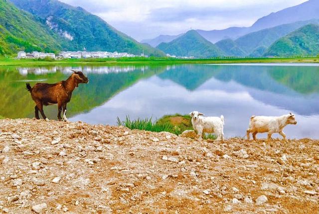 五一小长假好去处，竹山武陵峡、大九湖、神农顶环线游