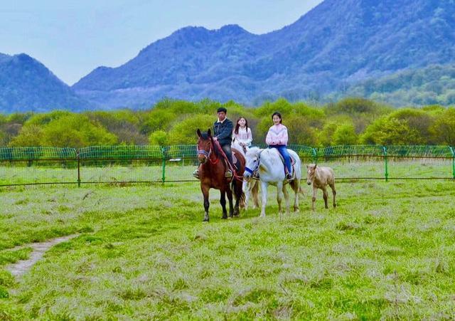 五一小长假好去处，竹山武陵峡、大九湖、神农顶环线游