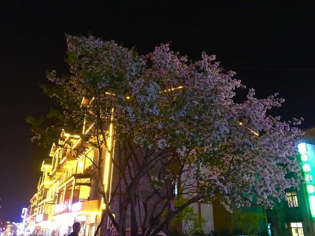 五一小长假好去处，竹山武陵峡、大九湖、神农顶环线游